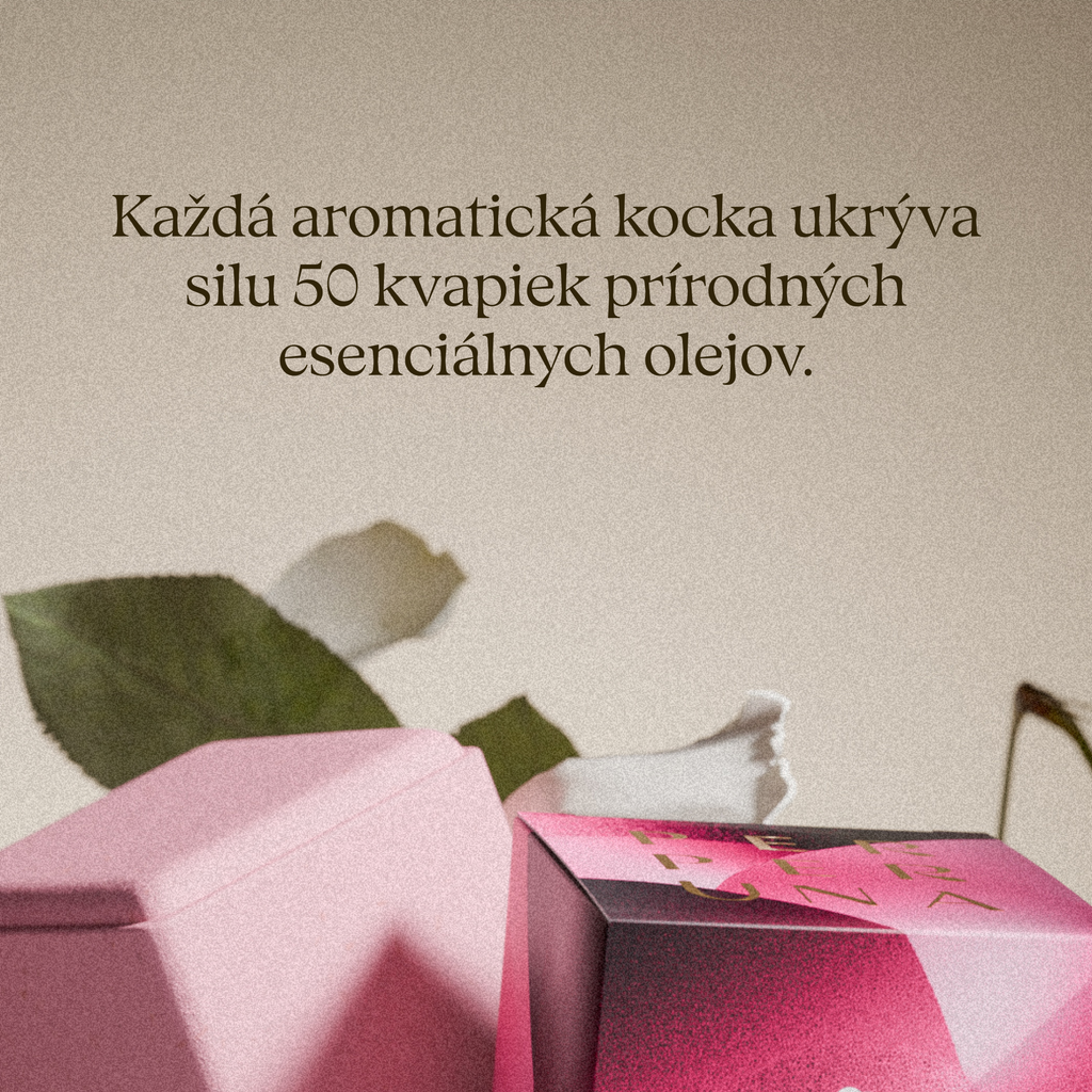 Colecția completă – The Ritual, Good Night și Love