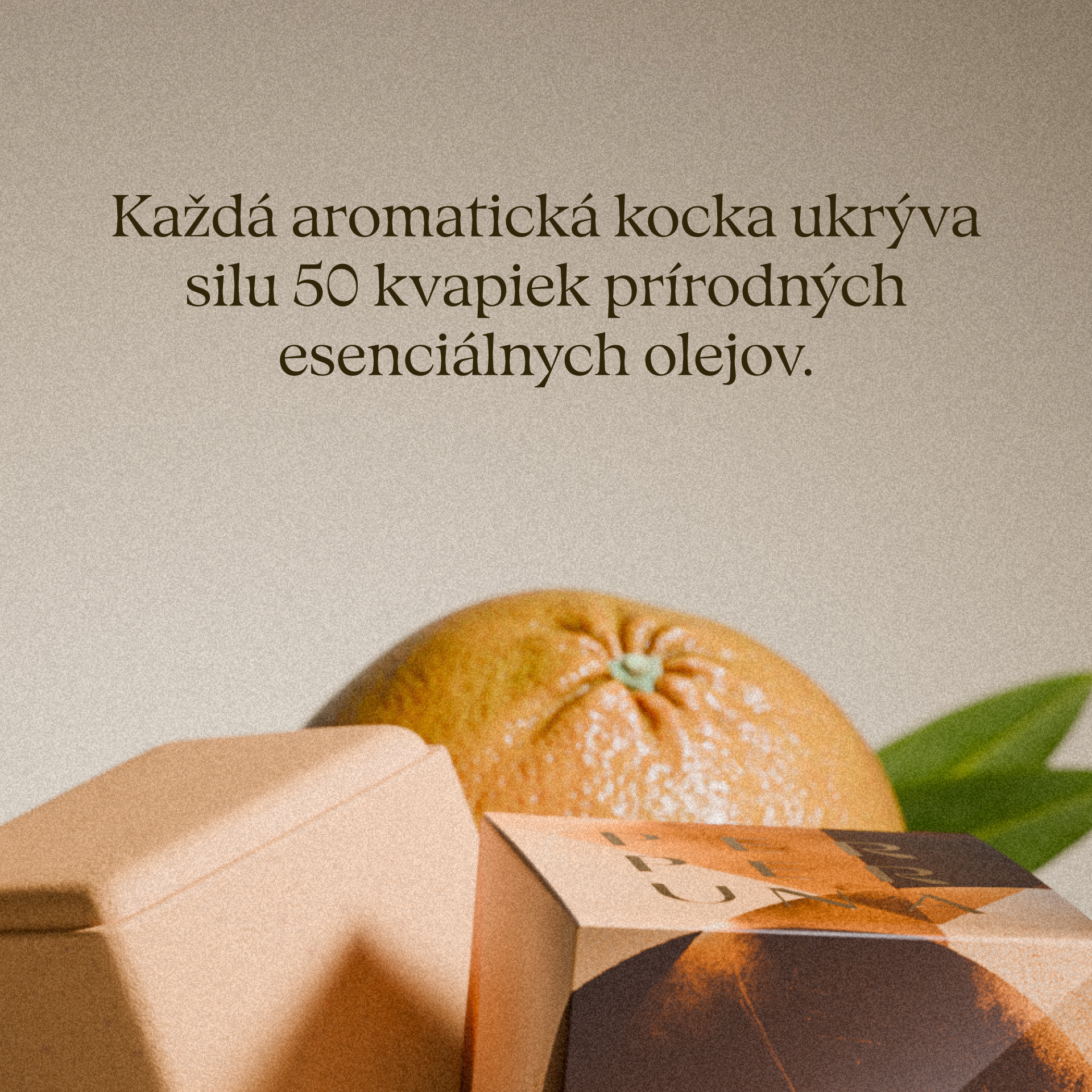 Balance – Cub aromatic pentru duș