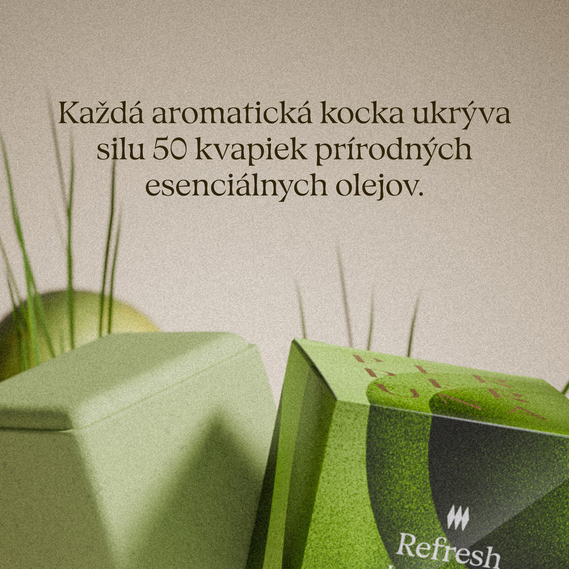Refresh – Cub aromatic pentru duș